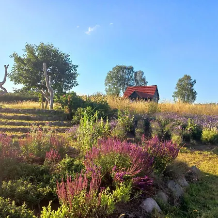 Dom Malarki Dom wakacyjny