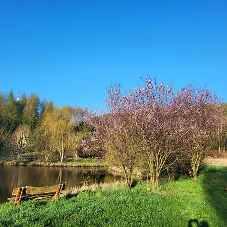 Dom wakacyjny Dom Malarki Mirosławiec