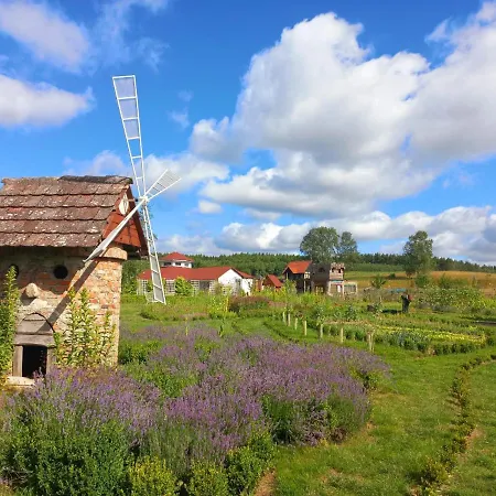 Dom wakacyjny Dom Malarki *