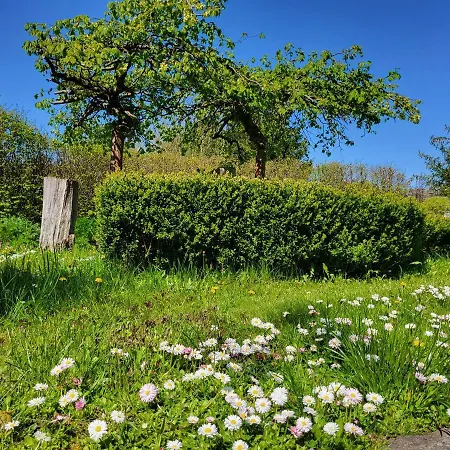 בית נופש Dom Malarki