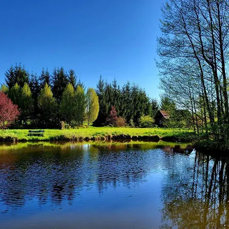 Dom Malarki * מירוסוואביס