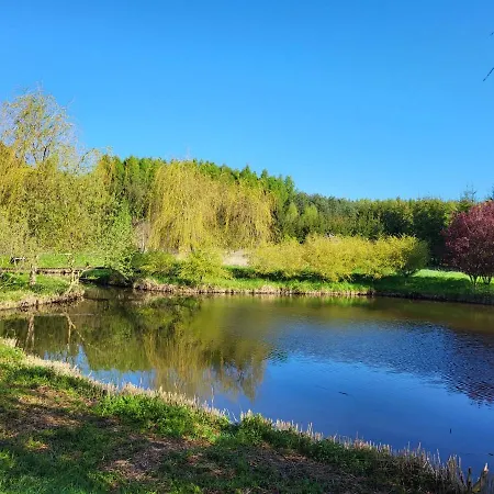 Dom Malarki מירוסוואביס