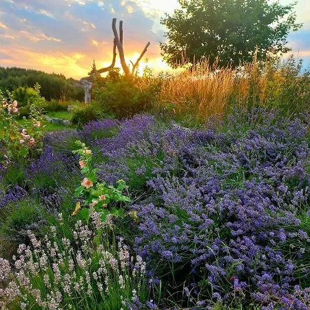 בית נופש Dom Malarki *