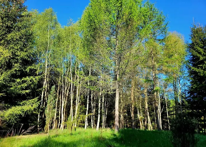 Dom Malarki Prázdninový dům Mirosławiec