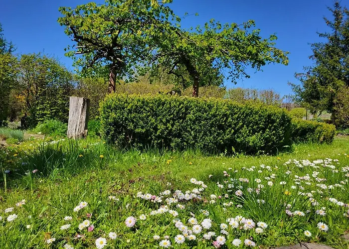 Vakantiehuis Dom Malarki