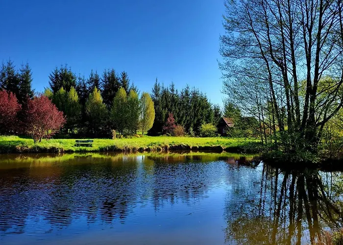 Dom Malarki * Mirosławiec