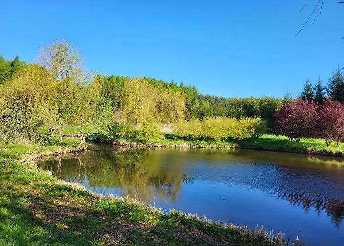 Dom Malarki Mirosławiec