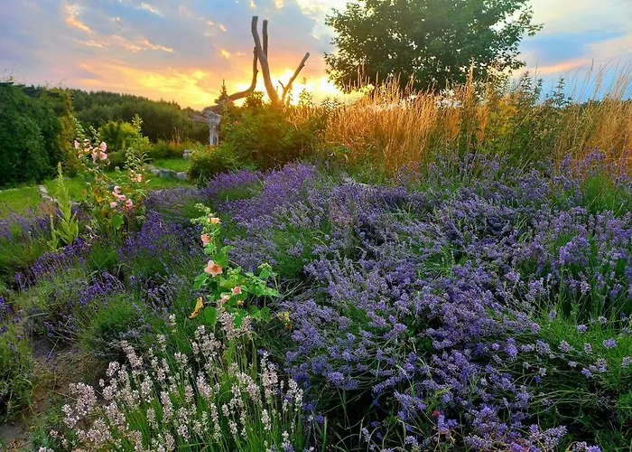 Vakantiehuis Dom Malarki *